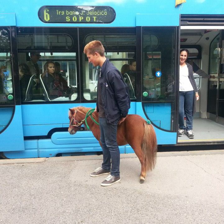 Društvena angažiranost